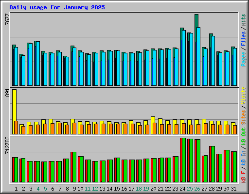 Daily usage for January 2025