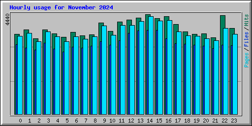 Hourly usage for November 2024
