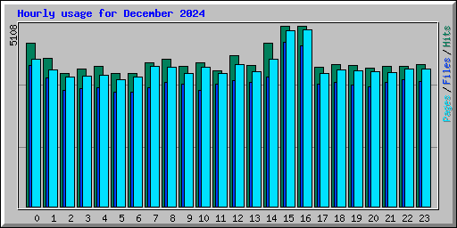 Hourly usage for December 2024