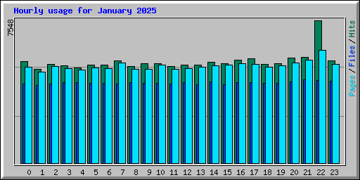 Hourly usage for January 2025