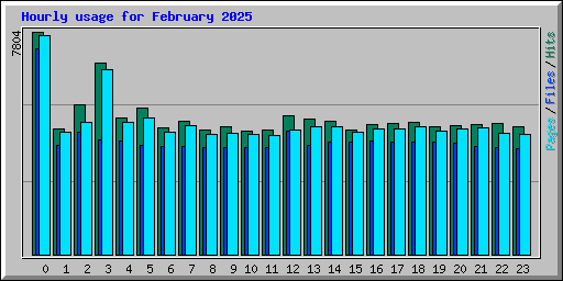 Hourly usage for February 2025