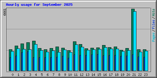 Hourly usage for September 2025