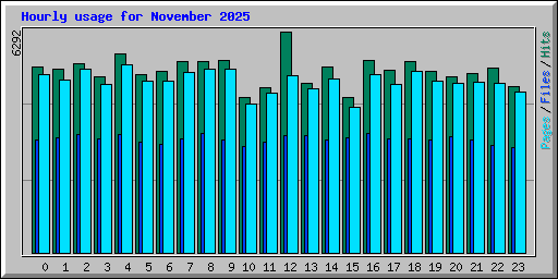 Hourly usage for November 2025