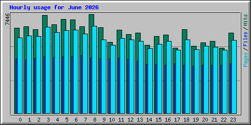 Hourly usage for June 2026